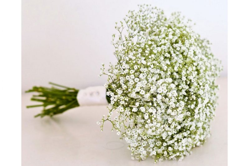 Hoa cưới bi trắng