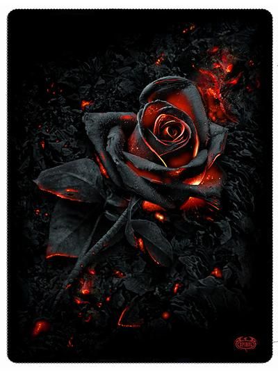 Hình nền đen buồn ngầu về bông hoa hồng rực lửa