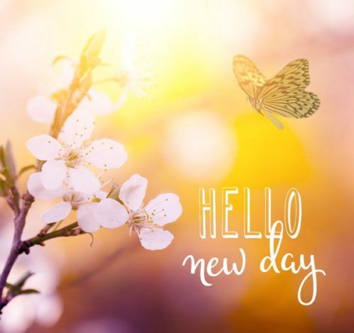 Tinh thần chào đón ngày mới chắc chắn sẽ được tăng cường khi bạn xem bức ảnh chào ngày mới đẹp nhất này. Hình ảnh sẽ giúp bạn khởi đầu một ngày mới với niềm tin và sự yêu đời. Chào đón ngày mới cùng bức ảnh thú vị này ngay nào!