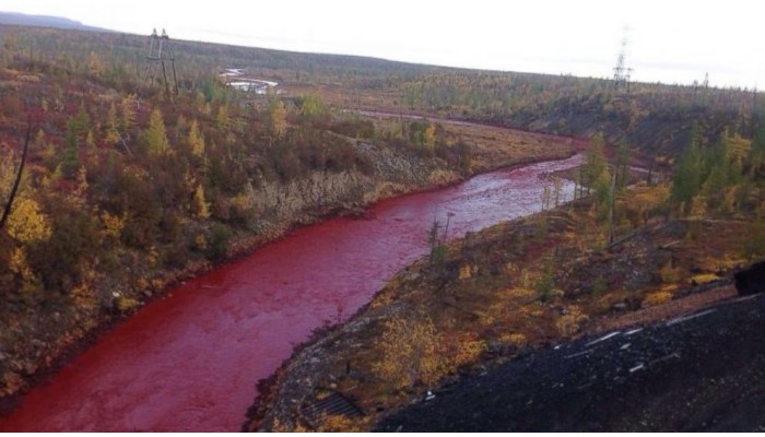 Mơ thấy máu chảy thành sông có ý nghĩa như thế nào?